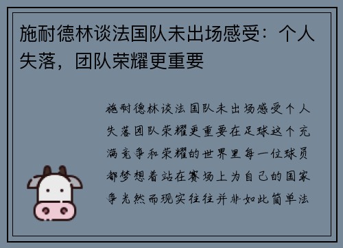 施耐德林谈法国队未出场感受：个人失落，团队荣耀更重要